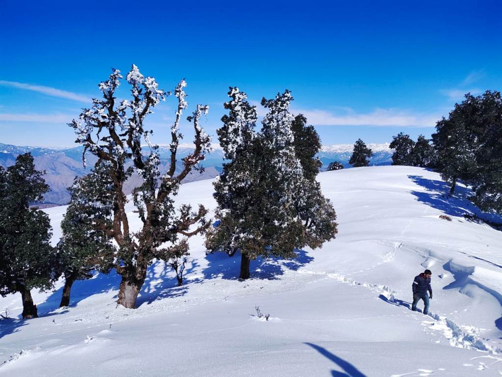 Brief Information About Nag Tibba Trek