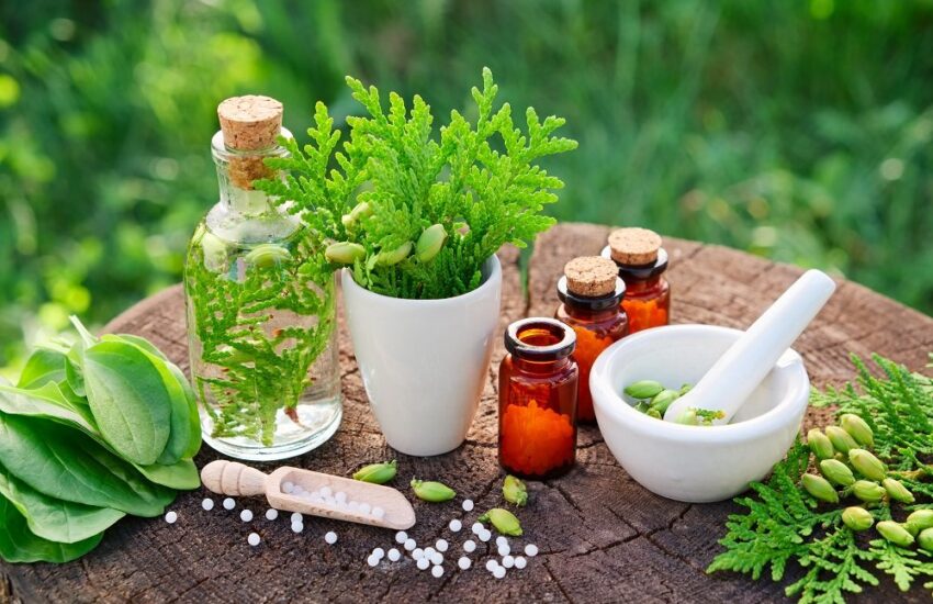 Current trends and future prospects of Herbal Products
