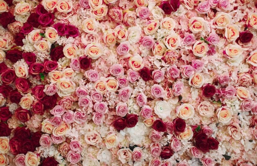 Beyond Roses - Special Birthday Flowers Arrangements
