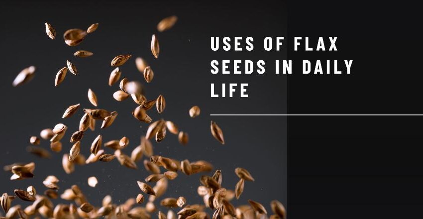 uses-of-flax-seeds-in-daily-life