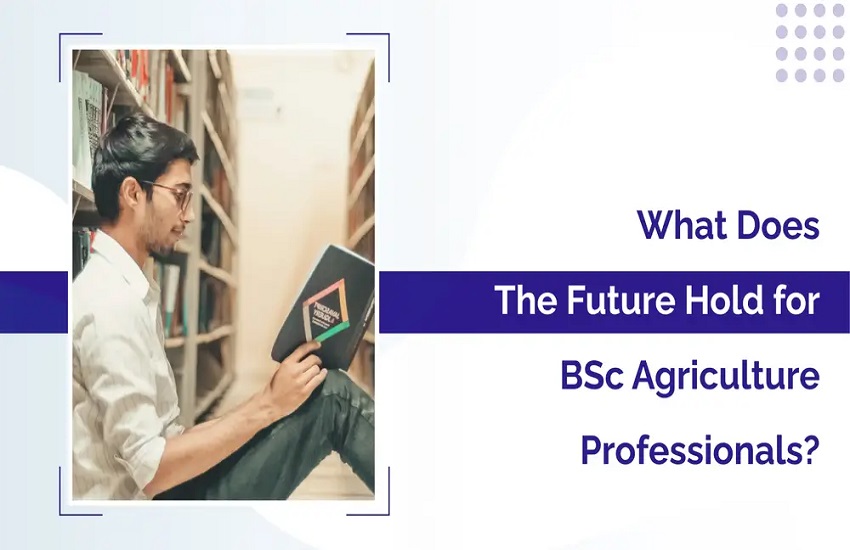 What Does the Future Hold for BSc Agriculture Professionals